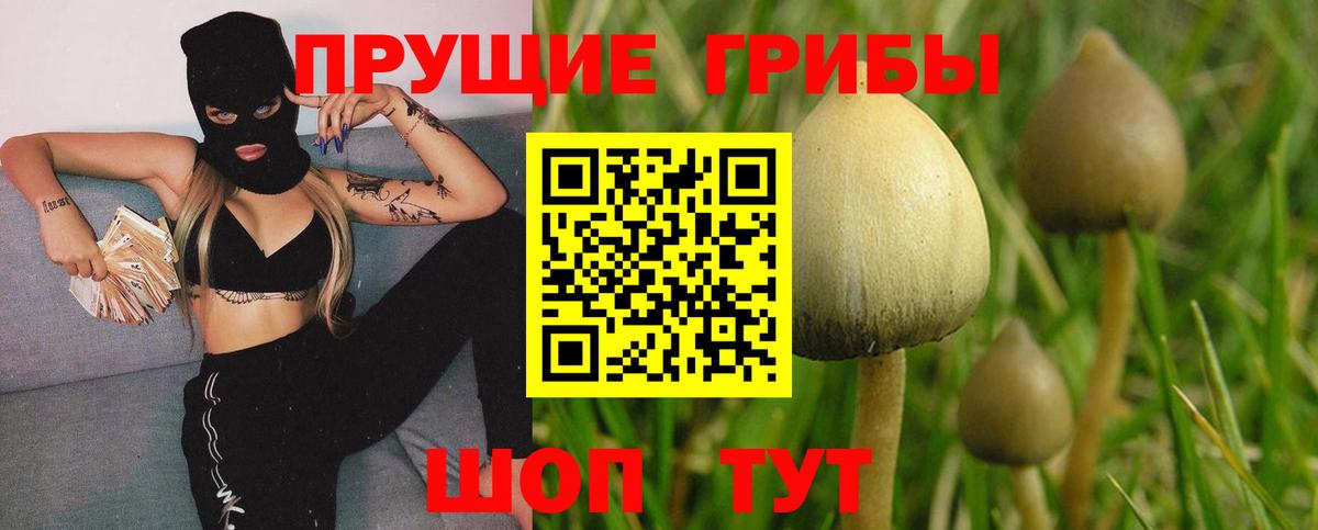 Псилоцибиновые грибы прущие грибы  Галлюциногенные грибы мухоморы  Вход с VPN  как найти закладки  Мелеуз 